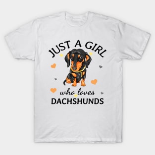 Just a Girl Who Loves dachshunds Gift T-Shirt